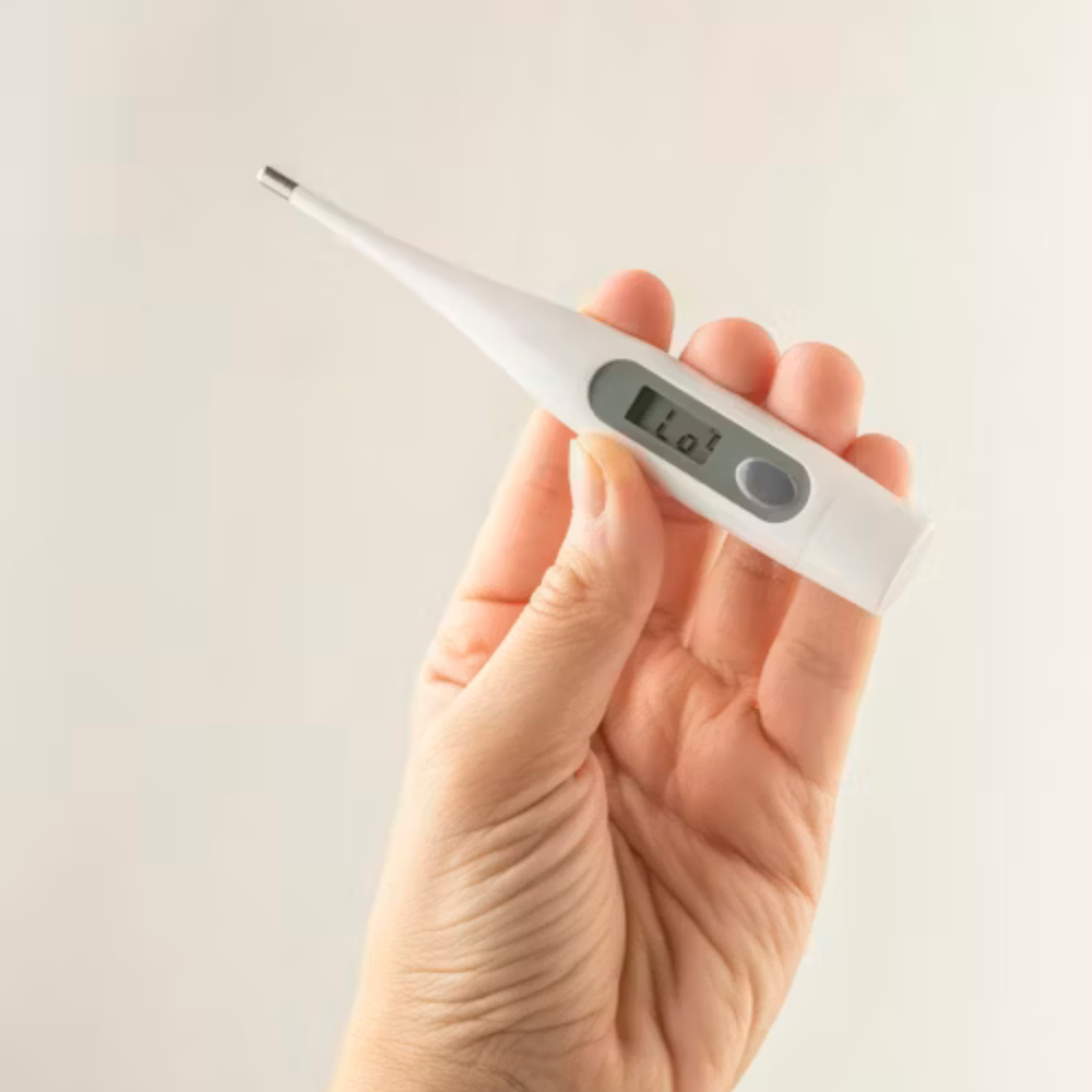 Digital Thermometer with Buzzer & Memory - Image 2